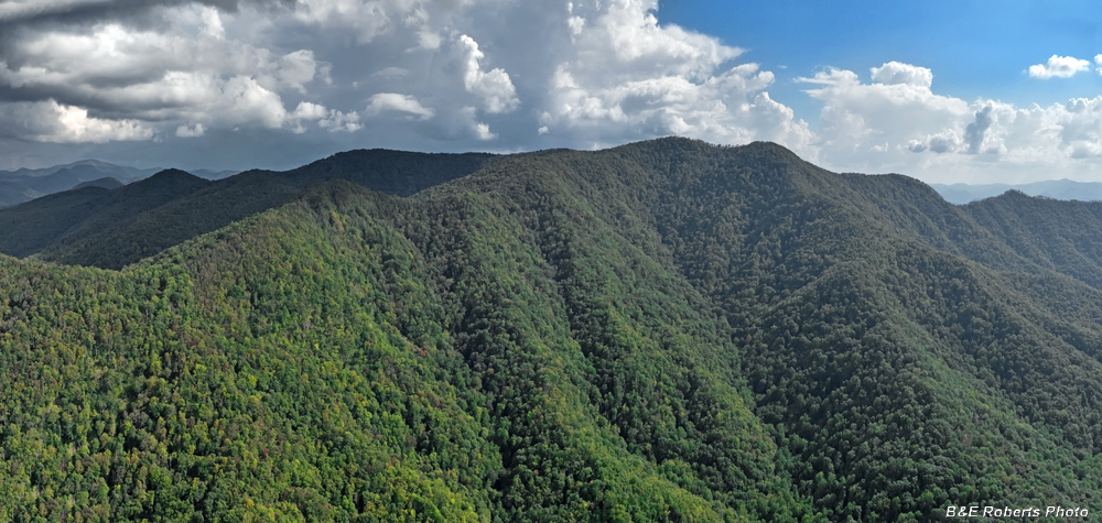 Mt_Boteler_from_Nelson_Ridge_Rd