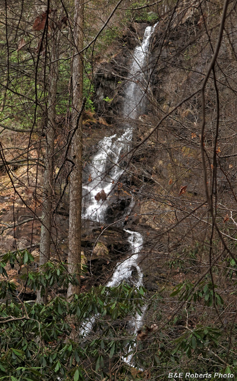 Upper_Falls_through_trees