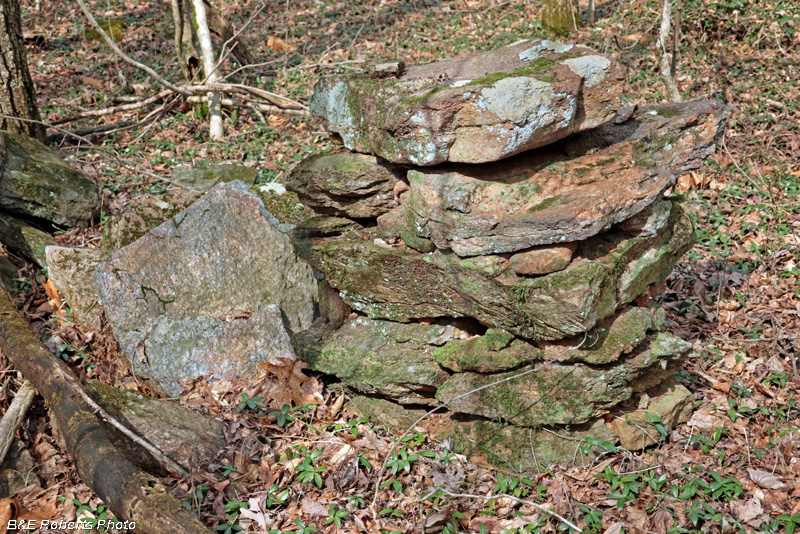 Stone_foundation_pier