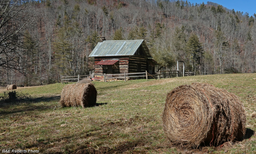 Coleman_cabin