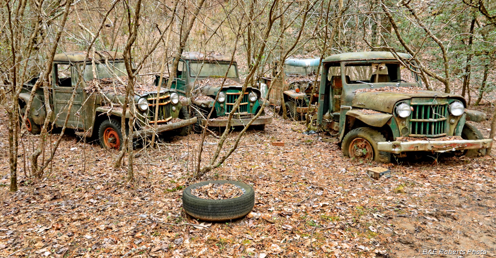 Willys_Jeeps