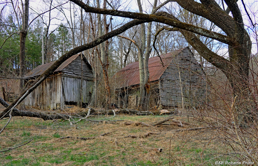 Shed_and_barn