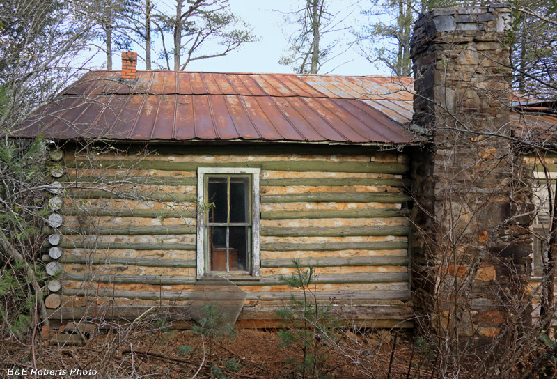 Log_wall_chimney