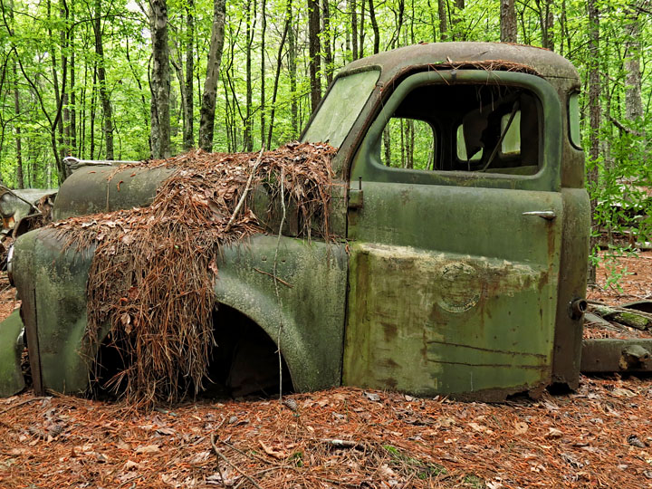 Dodge_pickup