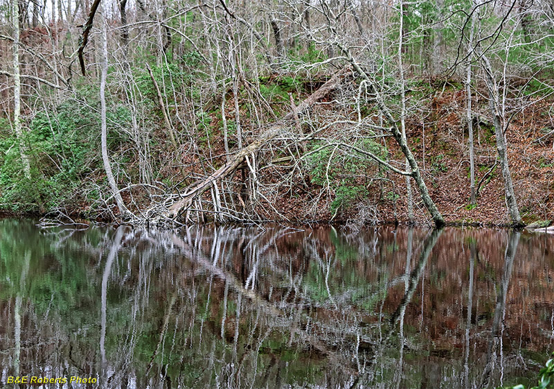 Sugar_Hill_Pond