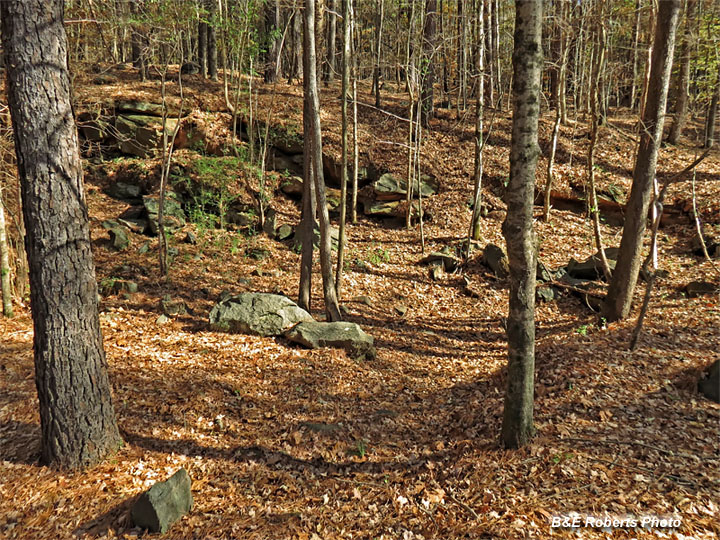 Quarry_Site