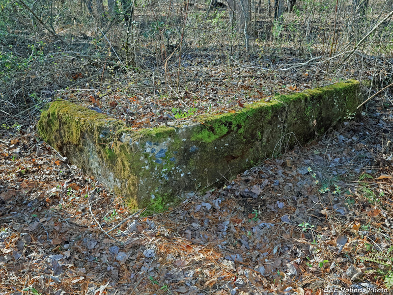 Foundation