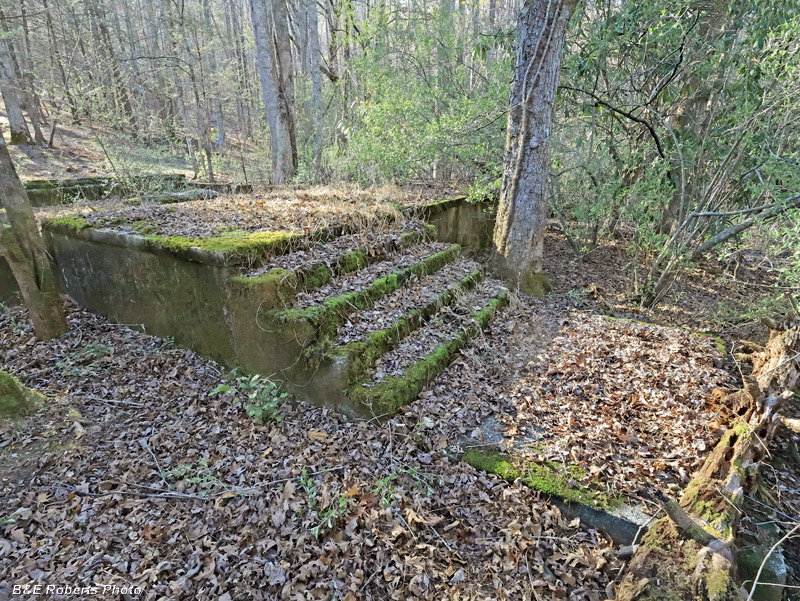 Main_foundation