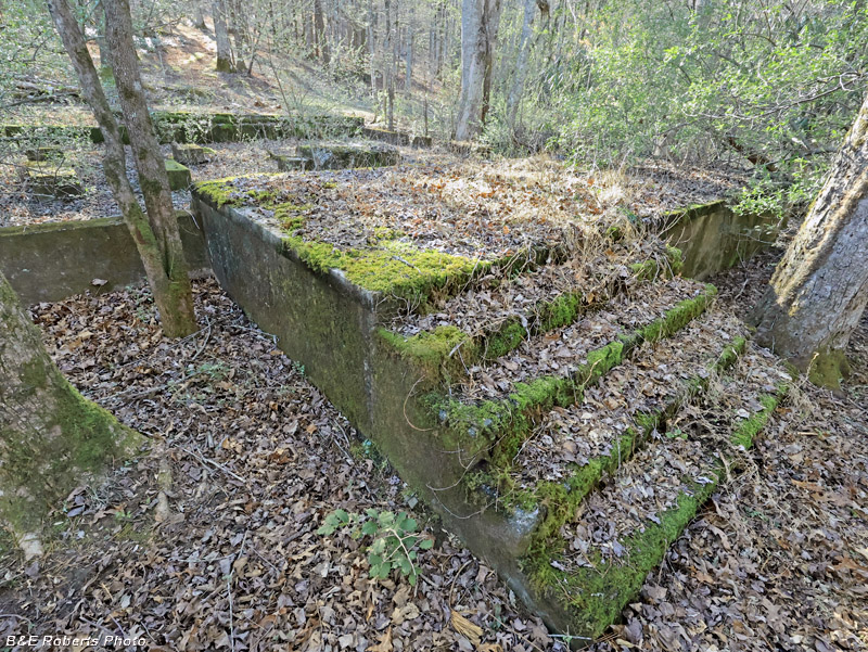 Main_foundation
