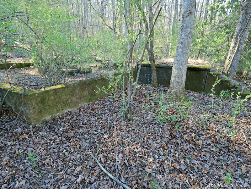 Main_foundation