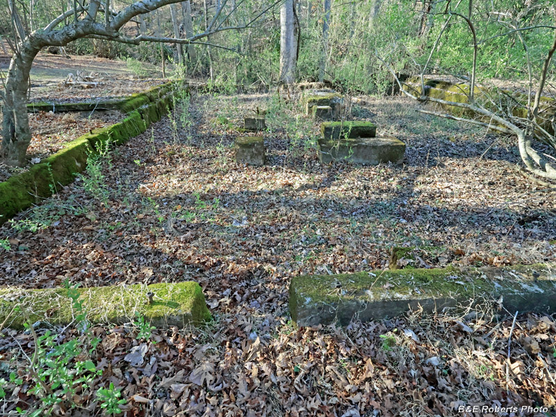 Main_foundation