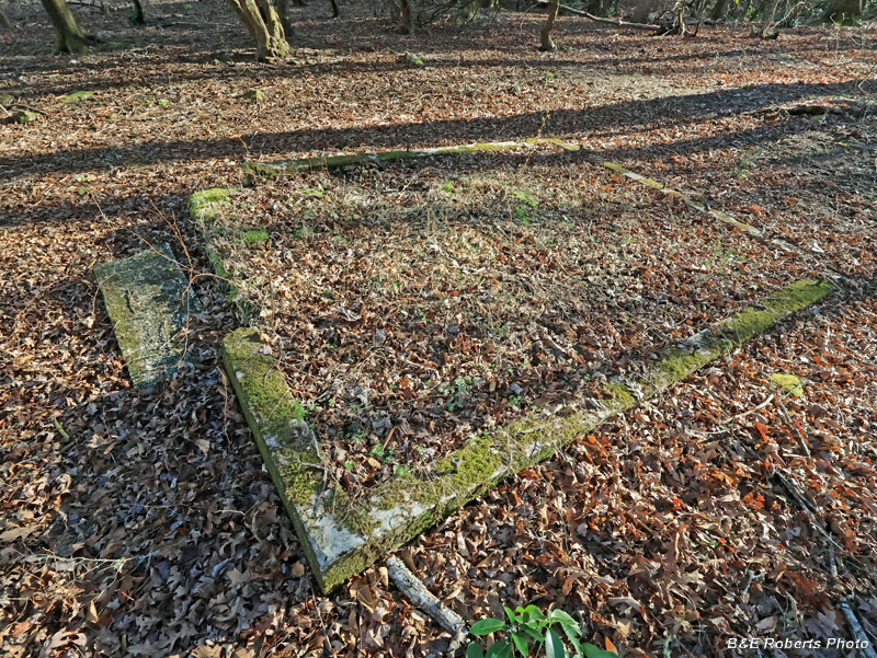 Foundation