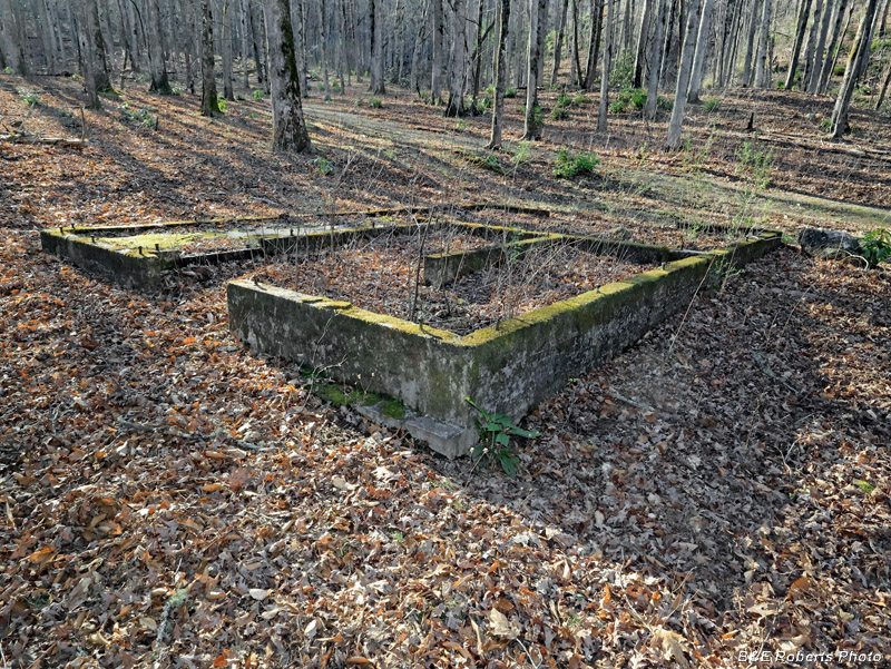 Foundation
