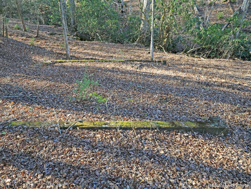 Foundation