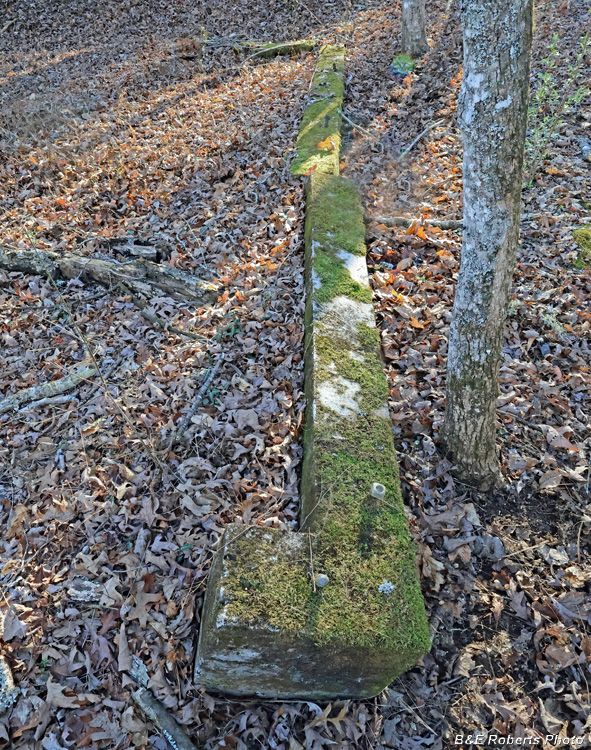 Foundation