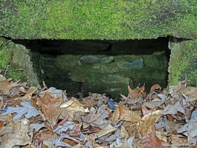 Cistern