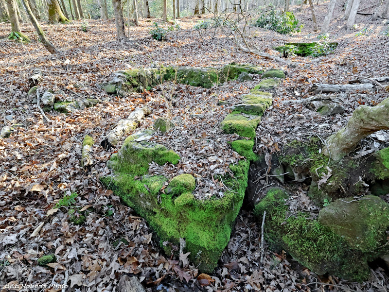 Creek_rockwork