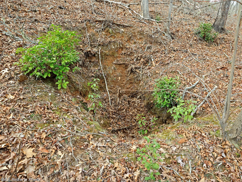 Pit