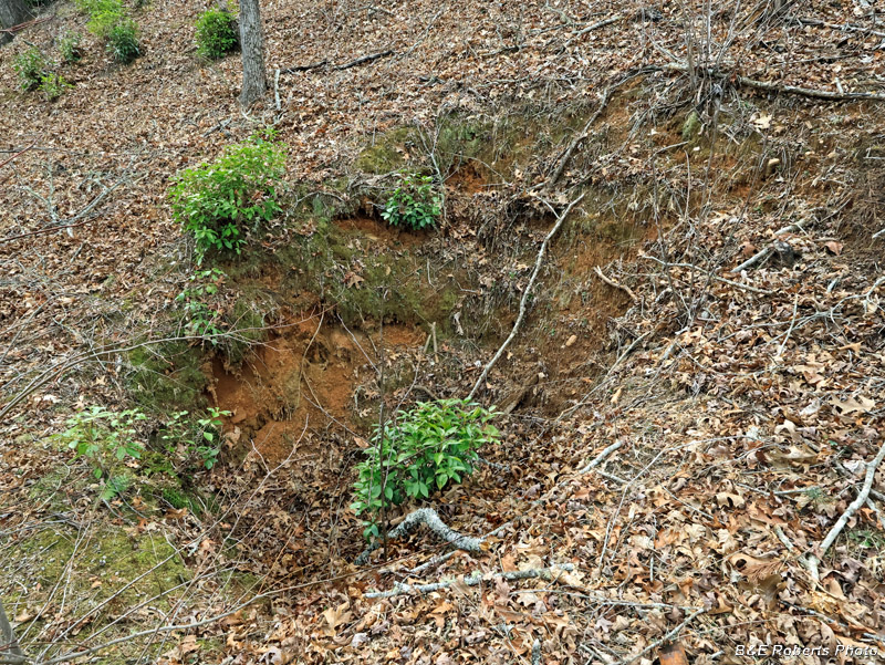 Pit