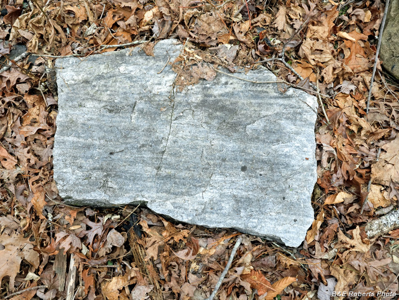 Terrace_rock