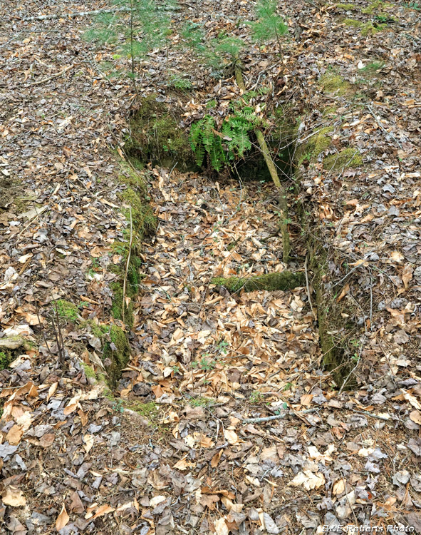 Rectangular_excavation