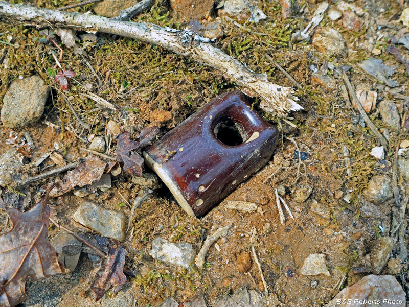 Insulator
