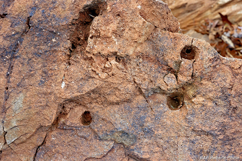 Rock_drill_holes