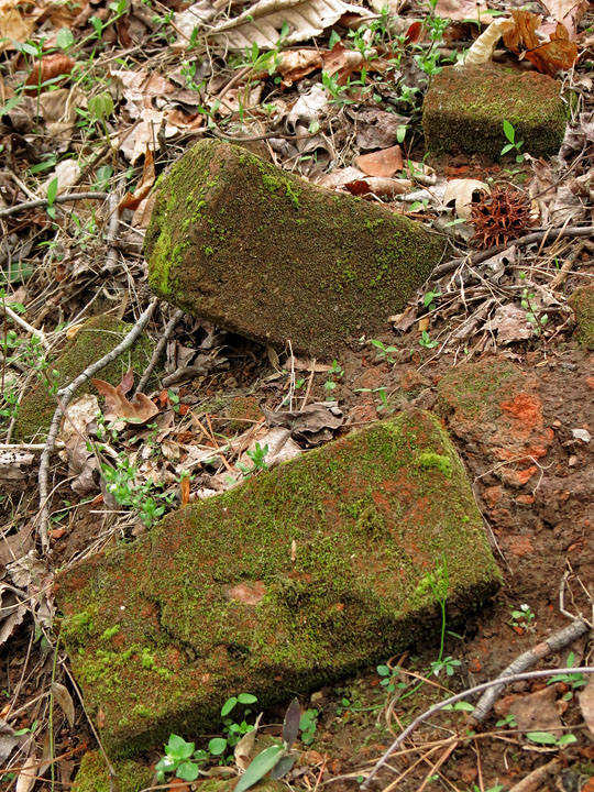 Mossy_bricks