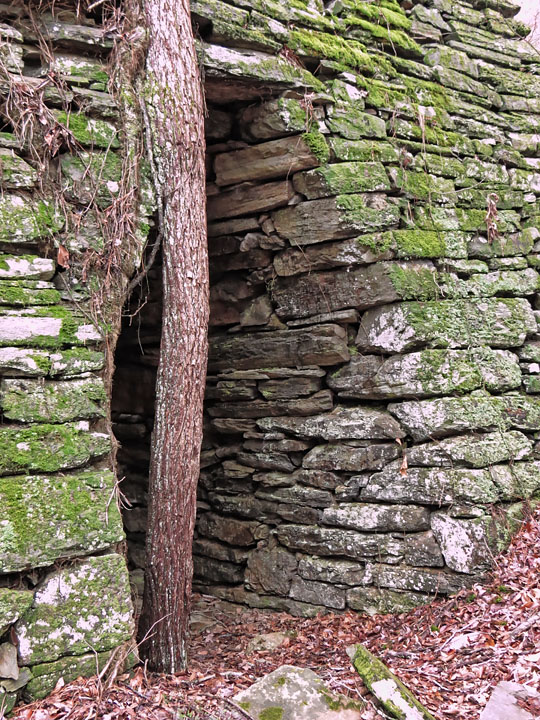 Tree_north_arch