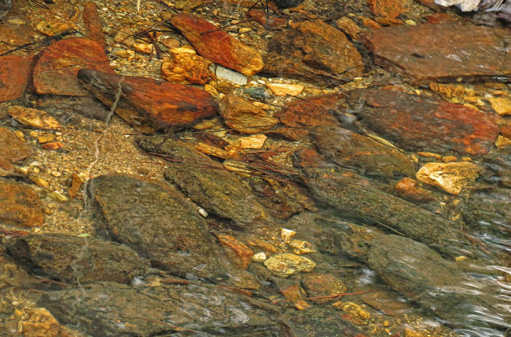 Creek_stones