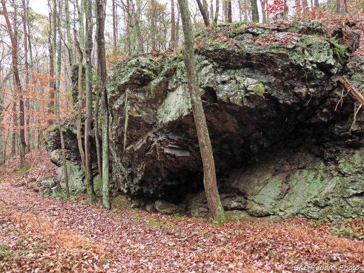 Rock_shelter