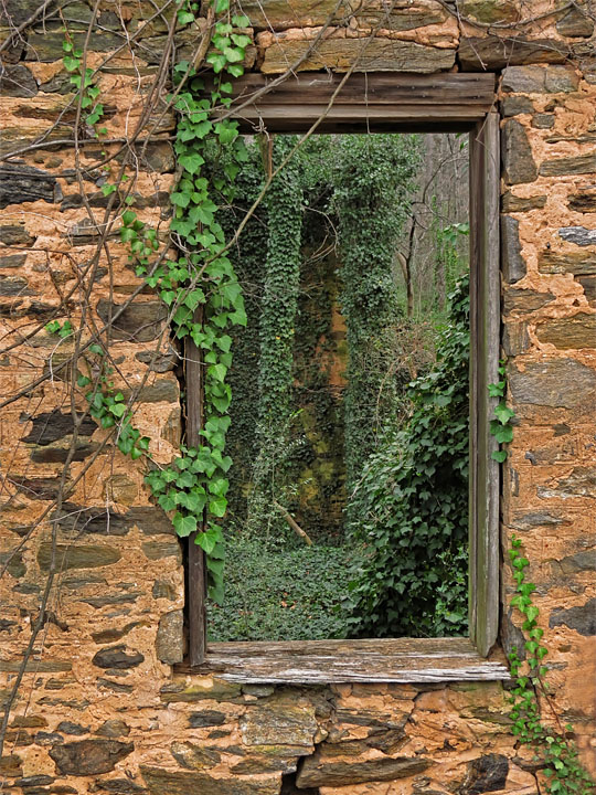 Window