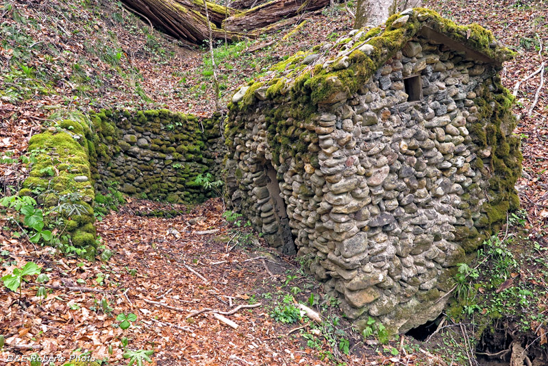 Springhouse