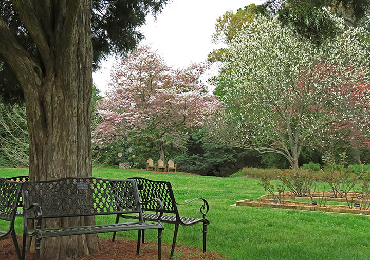 Garden_view