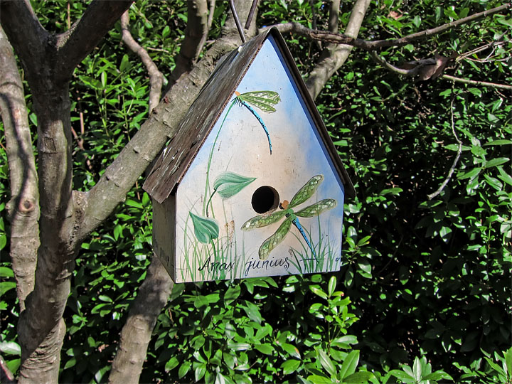 Birdhouse