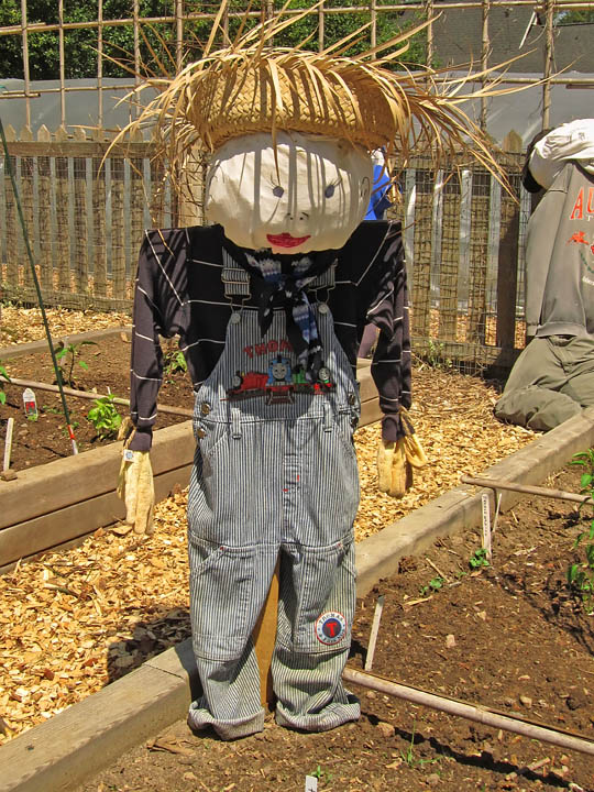 Scarecrow