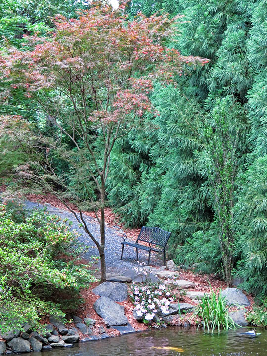 Pond_bench