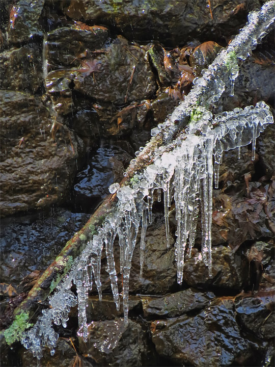 Frozen_Stick