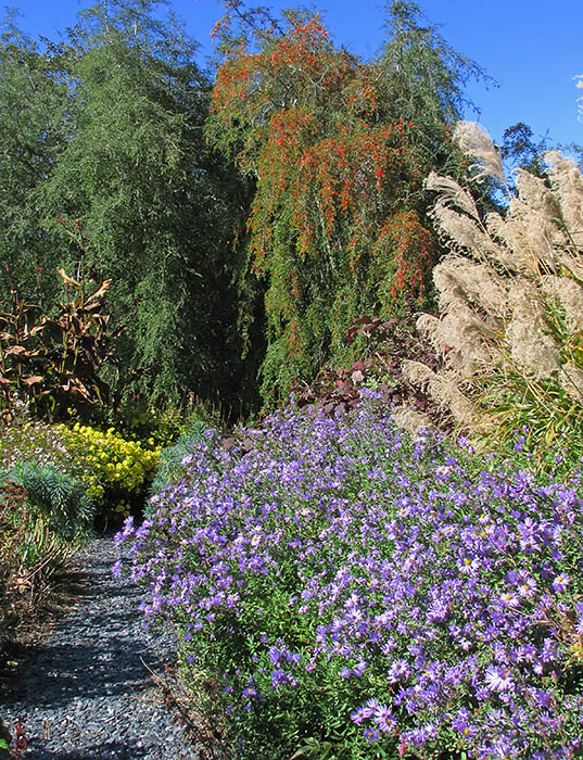 Garden_path