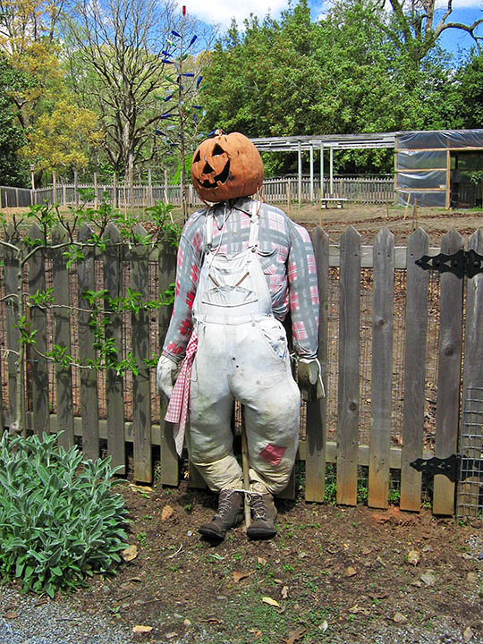 Scarecrow