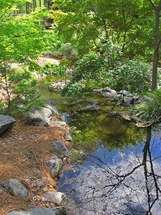 Pond_view