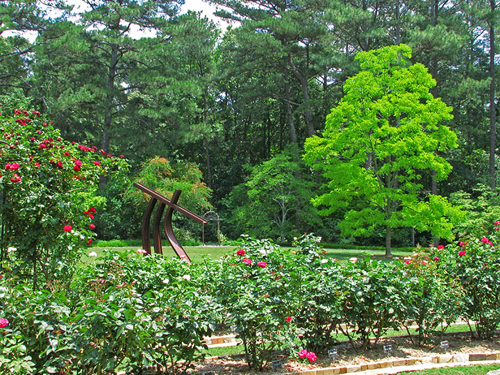 Garden_view