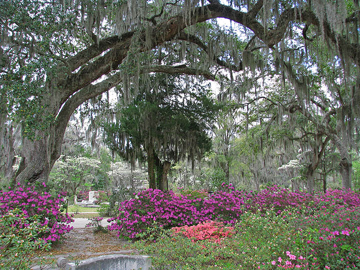 Cemetery_landscape