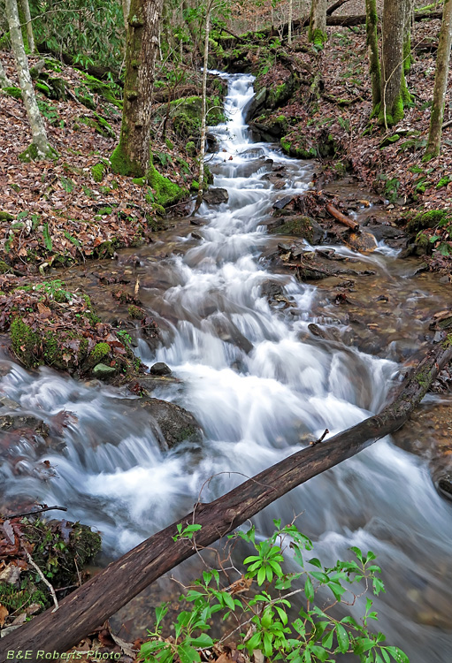 Bell_Creek_branch