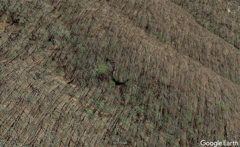 Google_earth_image