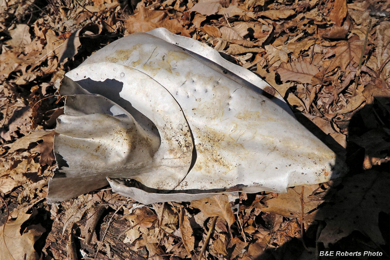 Upr_Wing_Strut_Fairing