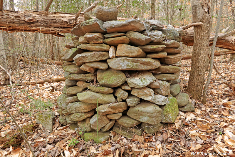 Stacked_pile