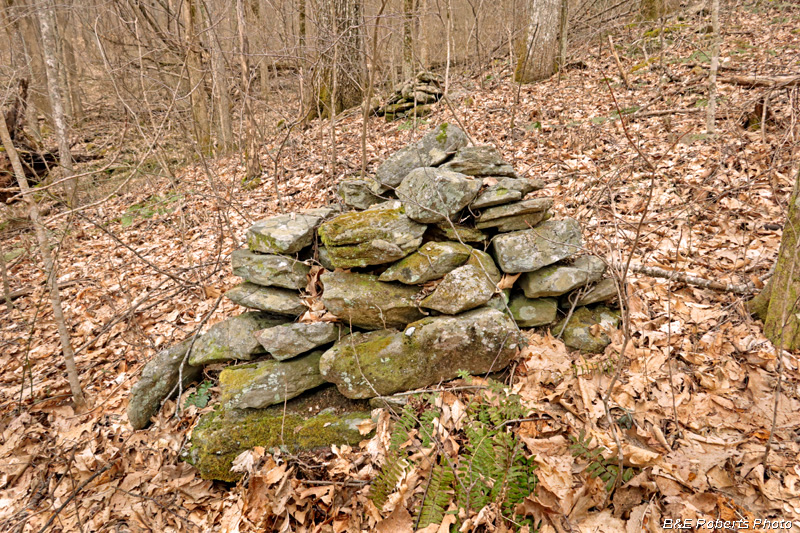 Rock_piles