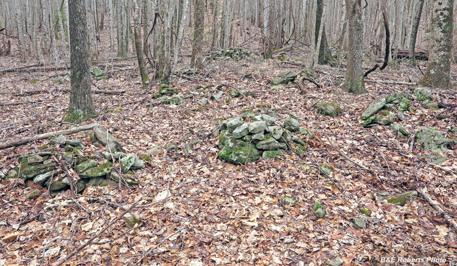 Mound_cluster