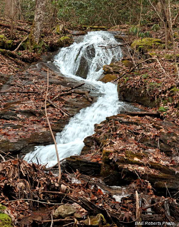 Bell_Creek_falls